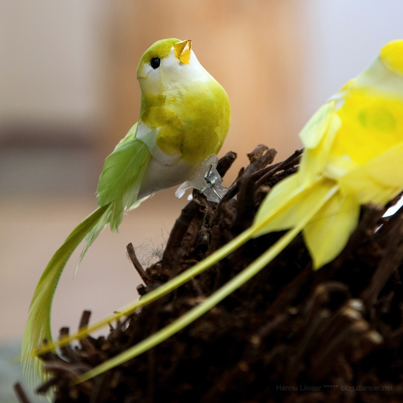 DSC_7194.jpg - Ivo Mänd - "Ta tuli... Läbi aegade õuduse..."